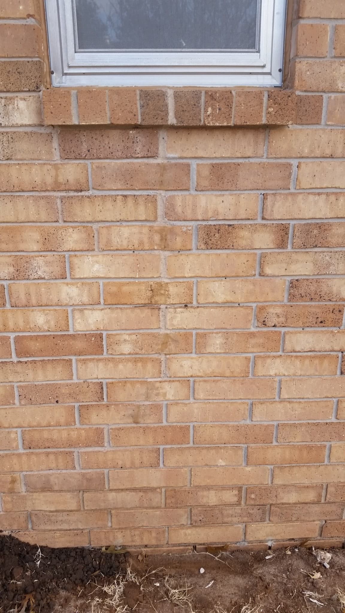 How to repair cracks in bricks